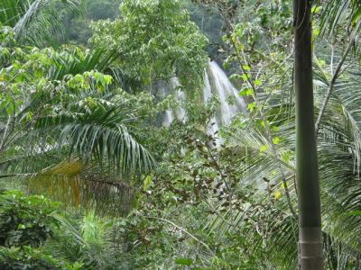 Cascade de El Limón Samaná